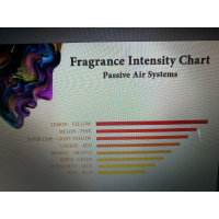 Top Diamond luchtverfrisser